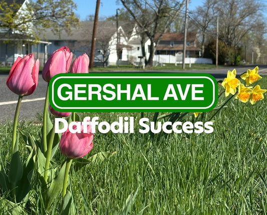 Successful Gershal Ave Beautification Test