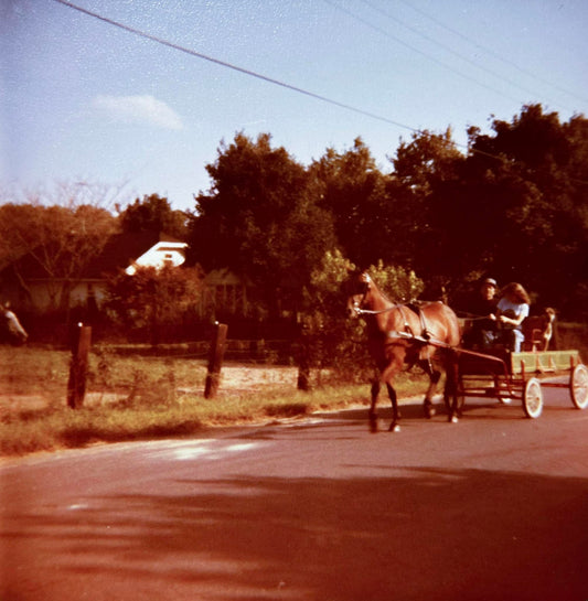 Horse and buggy on Norma, Pittsgrove street Gershal Avenue