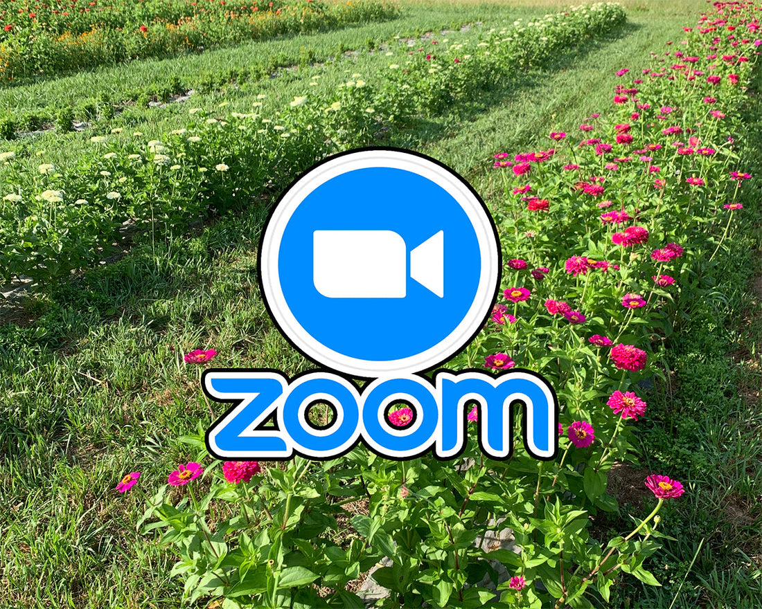 Zoom Links